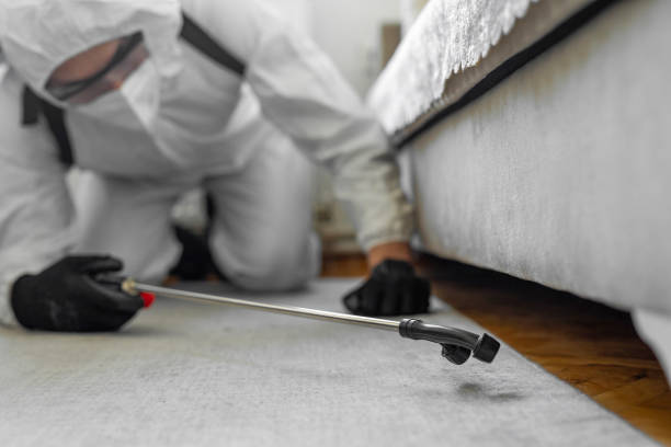 Professional Bed Bug Control technician working in St. Paul, TX