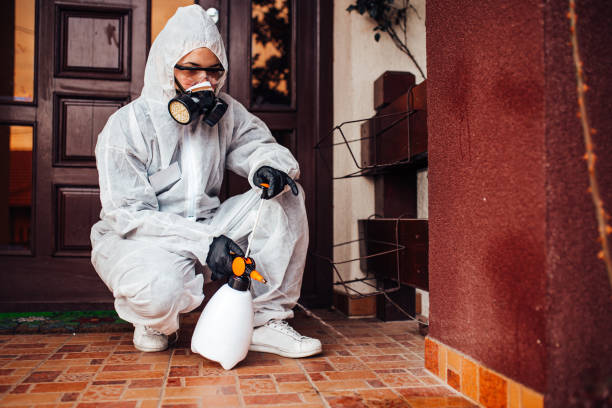 Reliable Bed Bug Control contractor in St. Paul, TX by Nex Pest Control