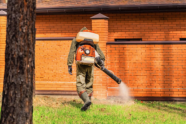 Top rated local Bed Bug Control specialists in St. Paul, TX